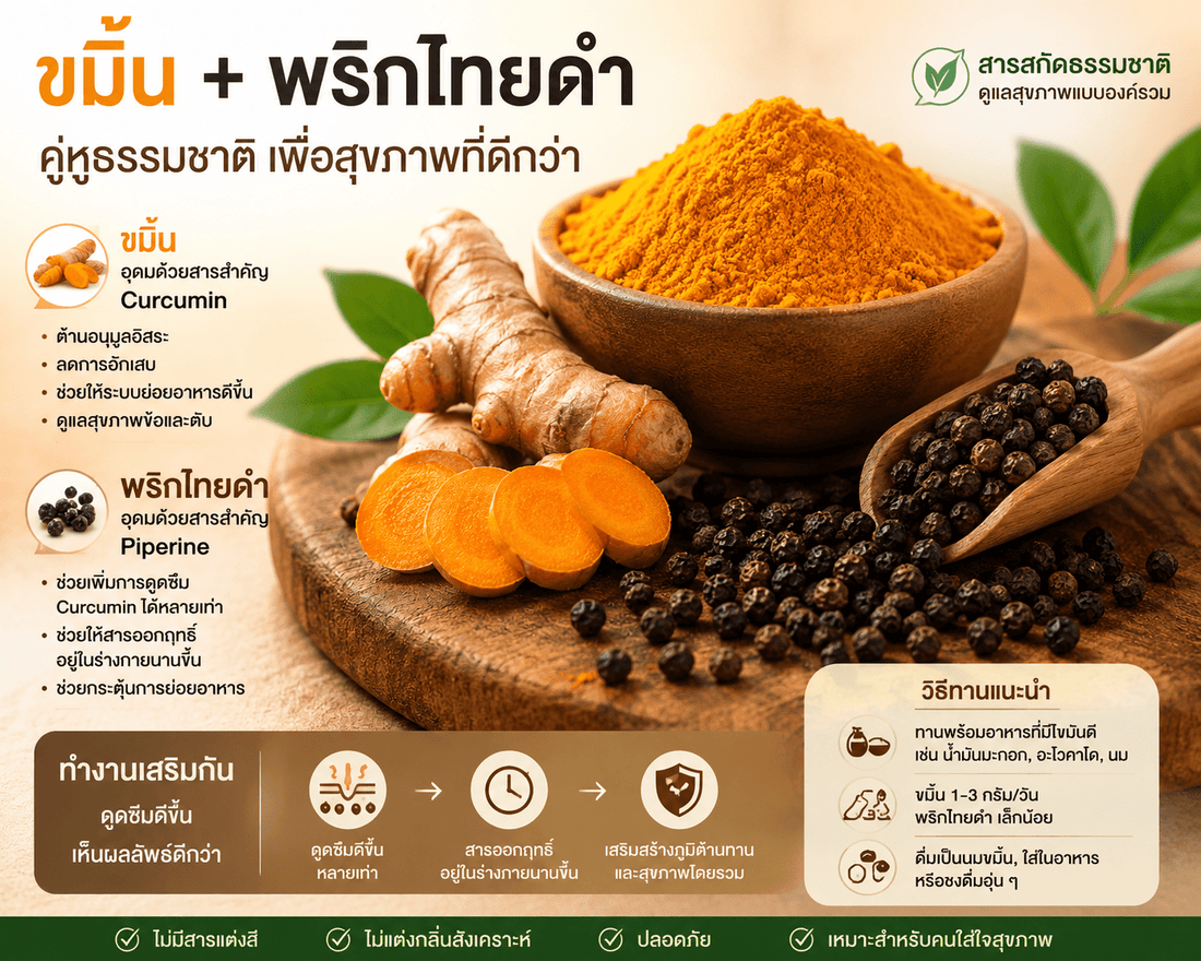 กิน ขมิ้น + พริกไทยดำ แล้วได้อะไร - Niyomherb